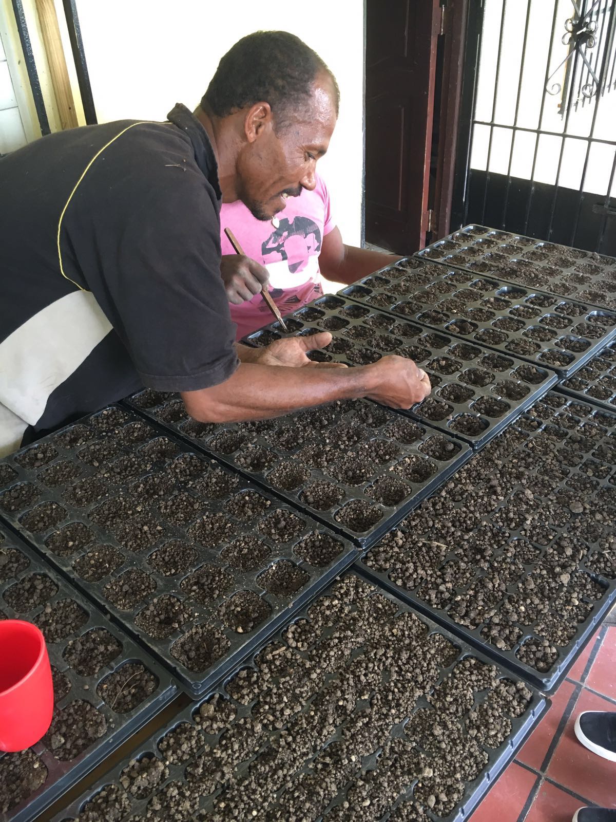 20160622_finca_kikaboni4