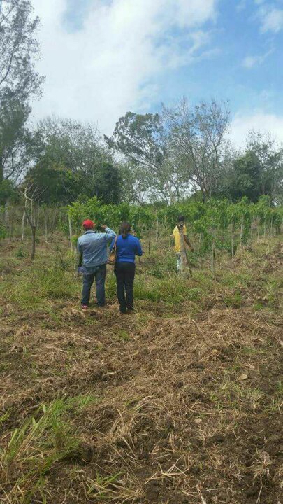 20170408_minagricoltura_2
